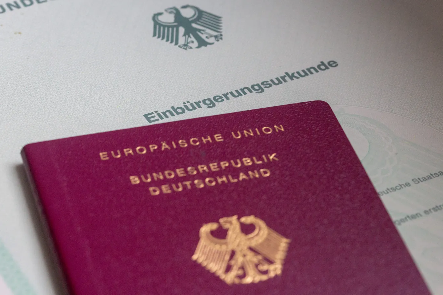 Dröge hält Einbürgerungs-Bremse für „komplett unsinnig“